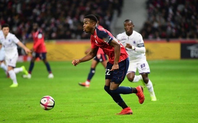 高尔夫运动 高尔夫运动