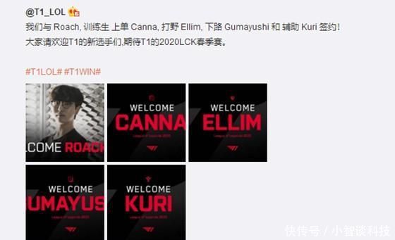 参与者与观 参与者与观